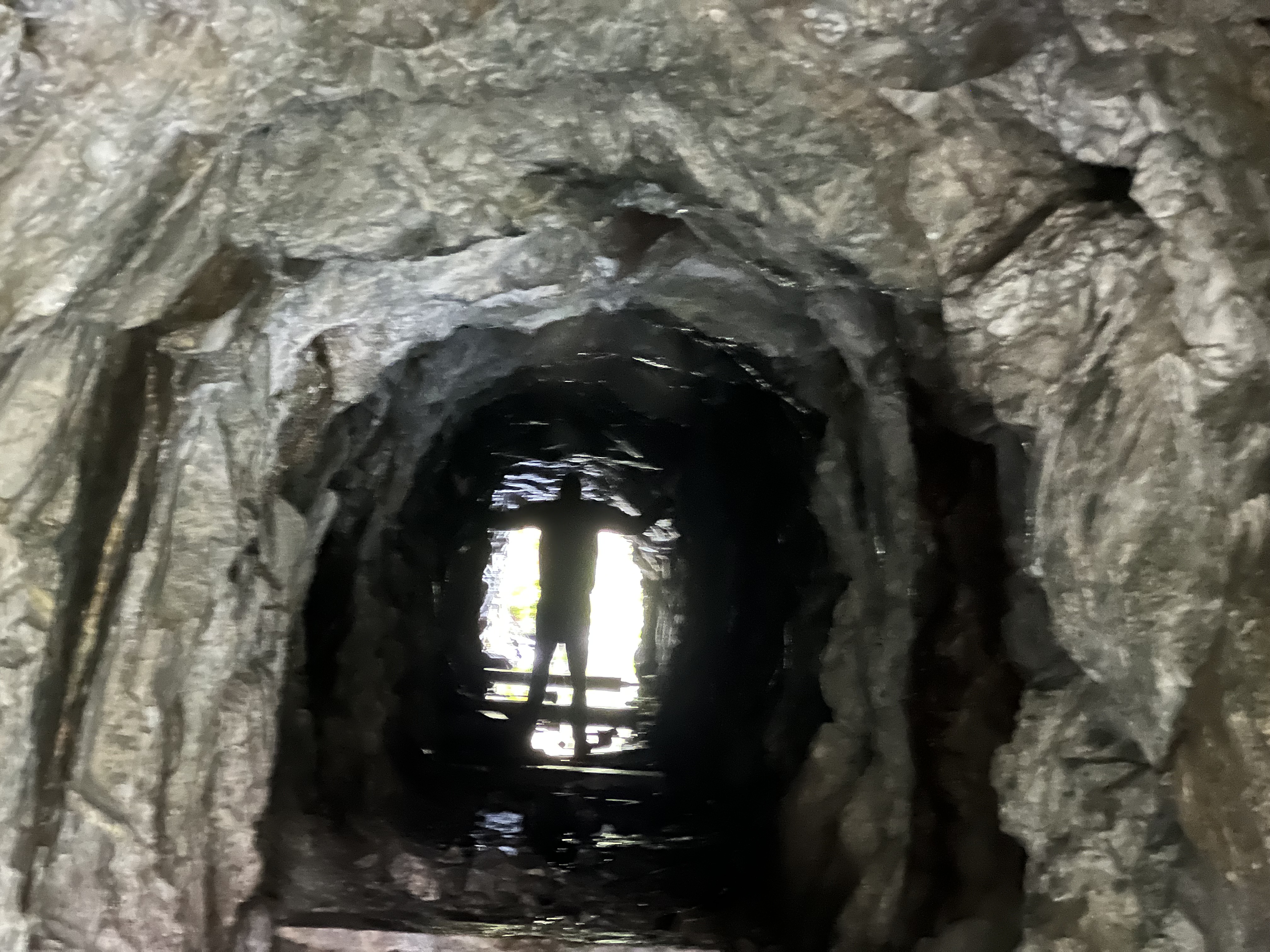 Figure silhouetted in light at the end of a stone passage — companion for the crossing